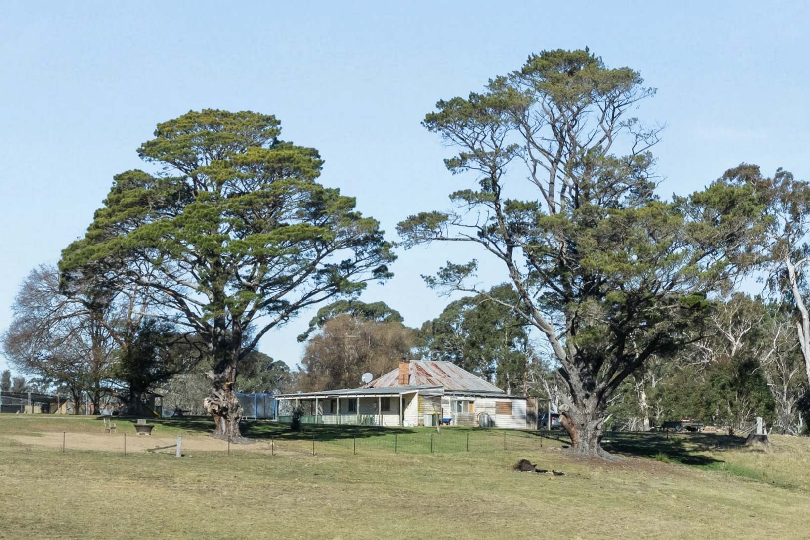 7650 Nerriga Road, Wog Wog For Sale by Farmbuy.com - image 2