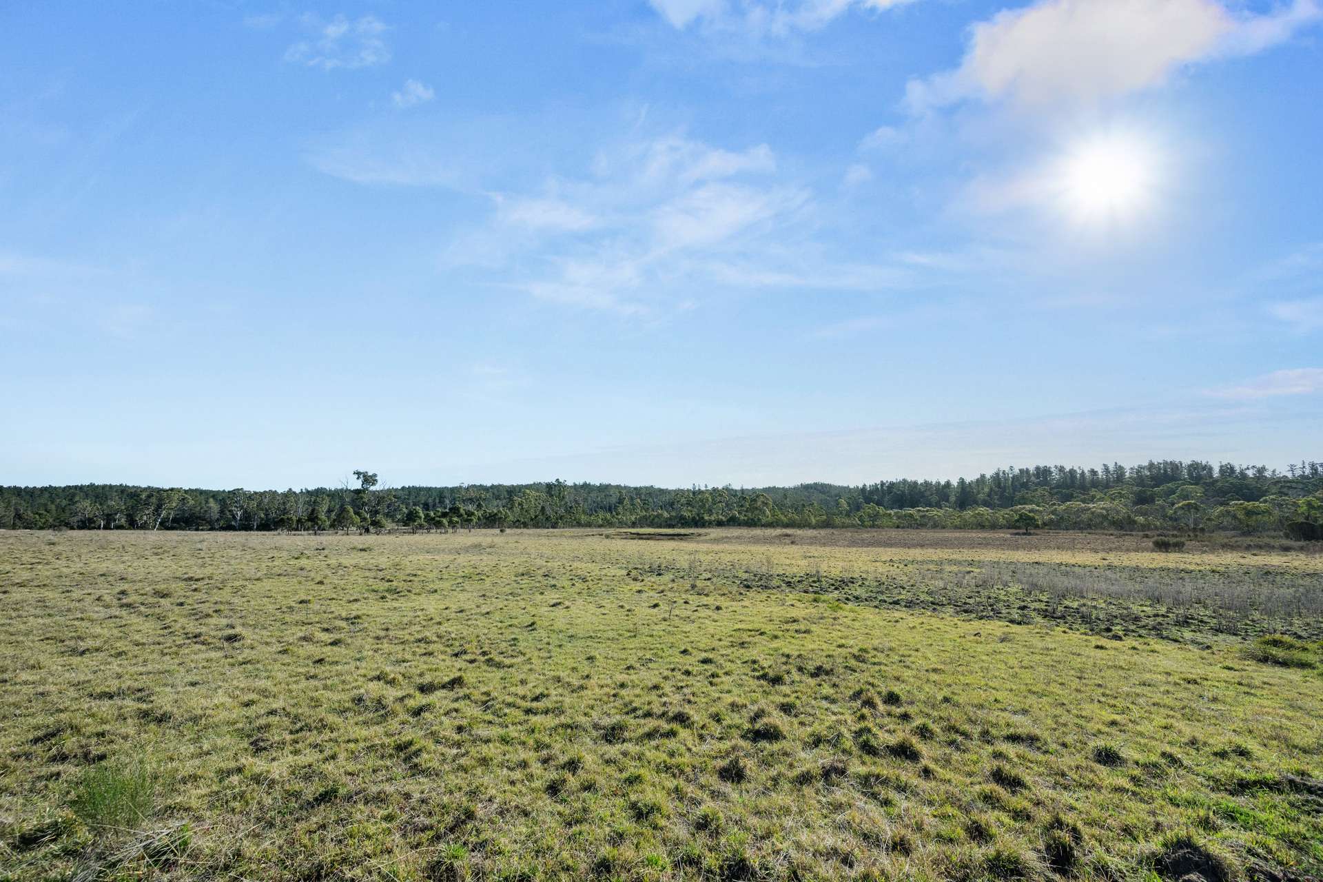 7650 Nerriga Road, Wog Wog For Sale by Farmbuy.com - image 15