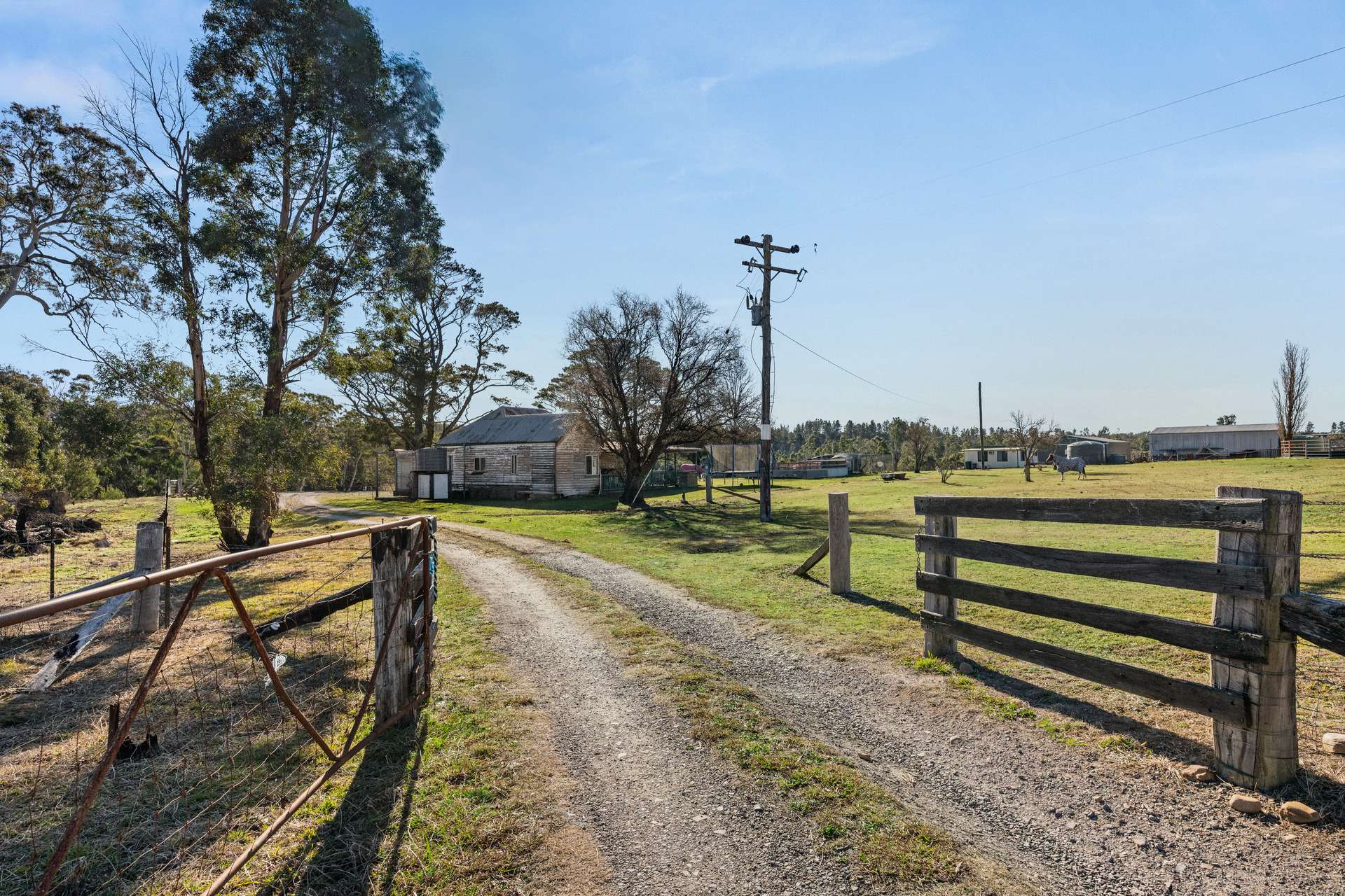 7650 Nerriga Road, Wog Wog For Sale by Farmbuy.com - image 25