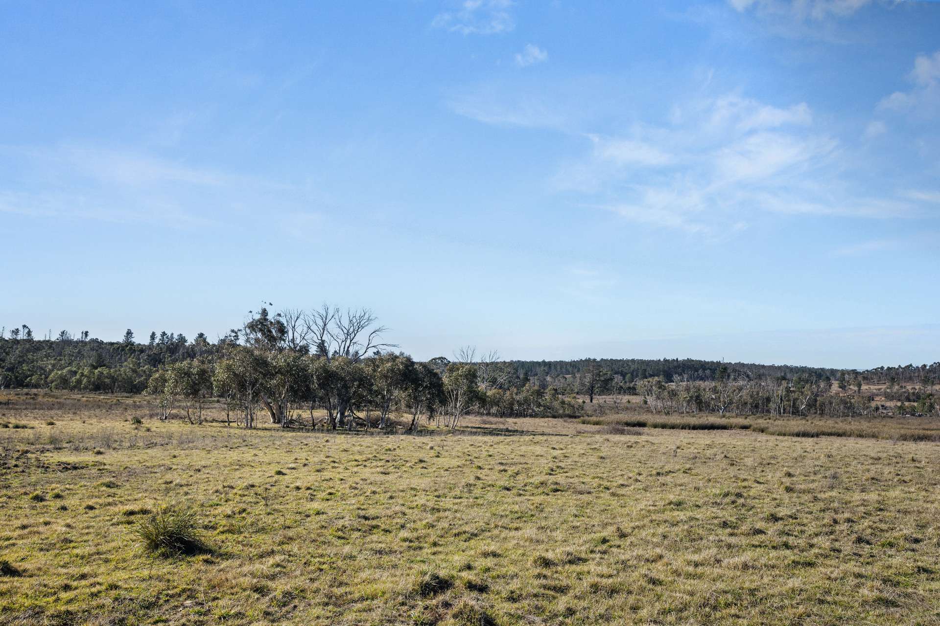 7650 Nerriga Road, Wog Wog For Sale by Farmbuy.com - image 16