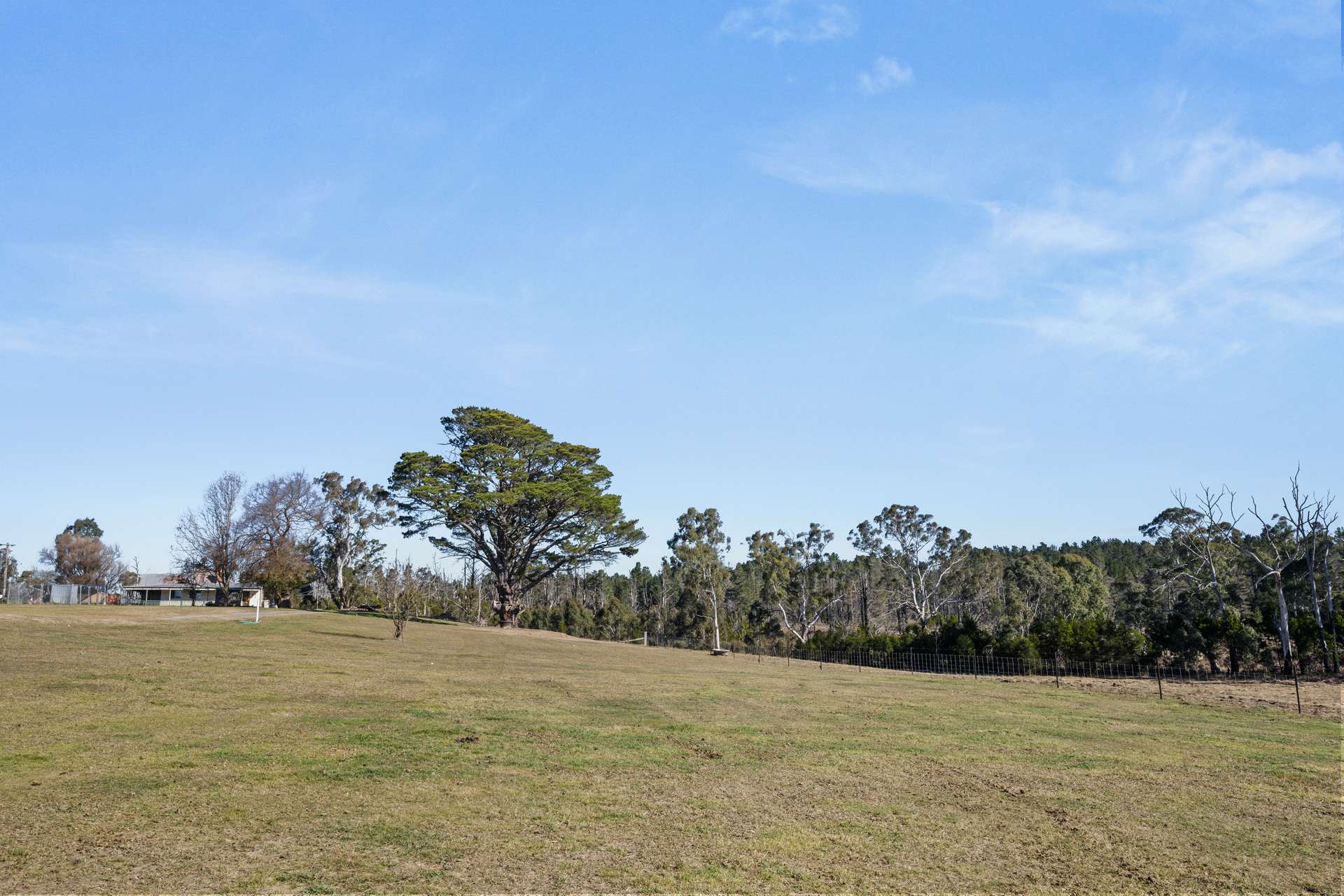 7650 Nerriga Road, Wog Wog For Sale by Farmbuy.com - image 17