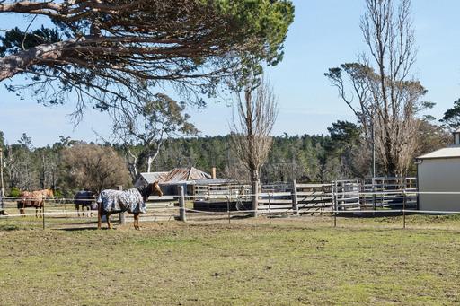 Farm For Sale - NSW - Wog Wog - 2622 - A Picturesque Rural Escape with Jerricknorra Creek Frontage plus Horse Stables 