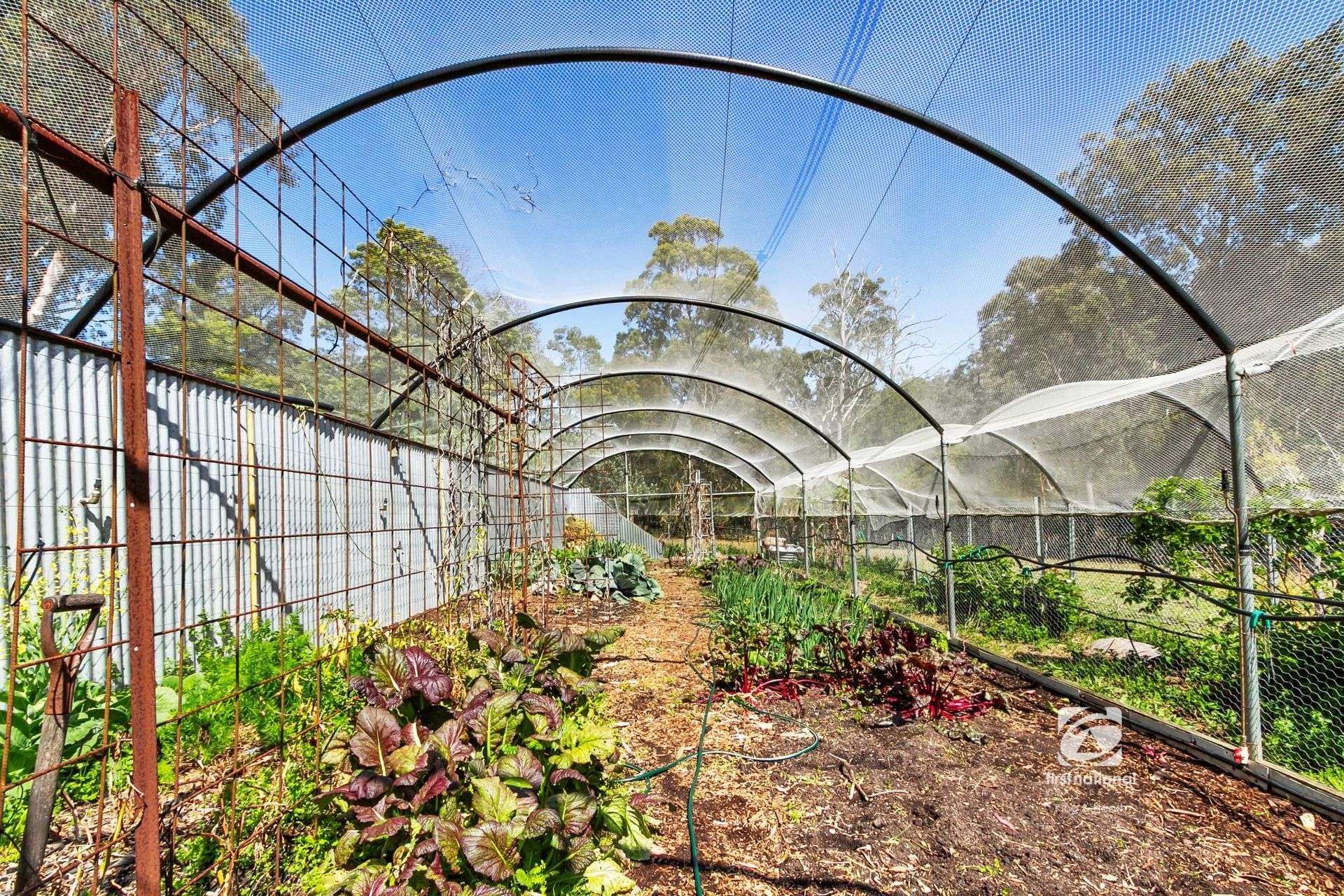 65-73 Mill Point Road, Toorloo Arm For Sale by Farmbuy.com - image 28