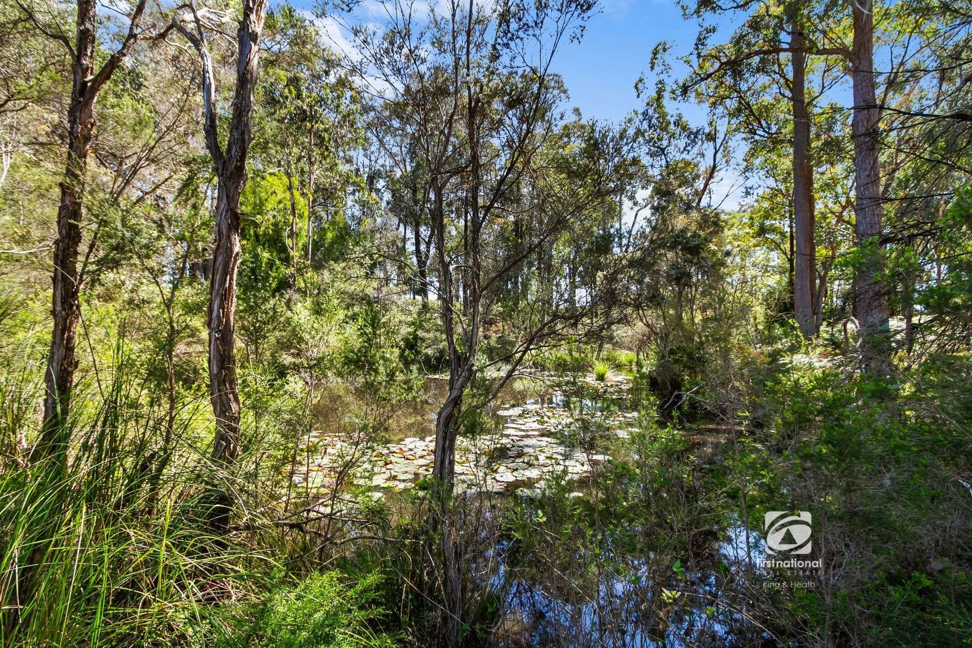 65-73 Mill Point Road, Toorloo Arm For Sale by Farmbuy.com - image 35