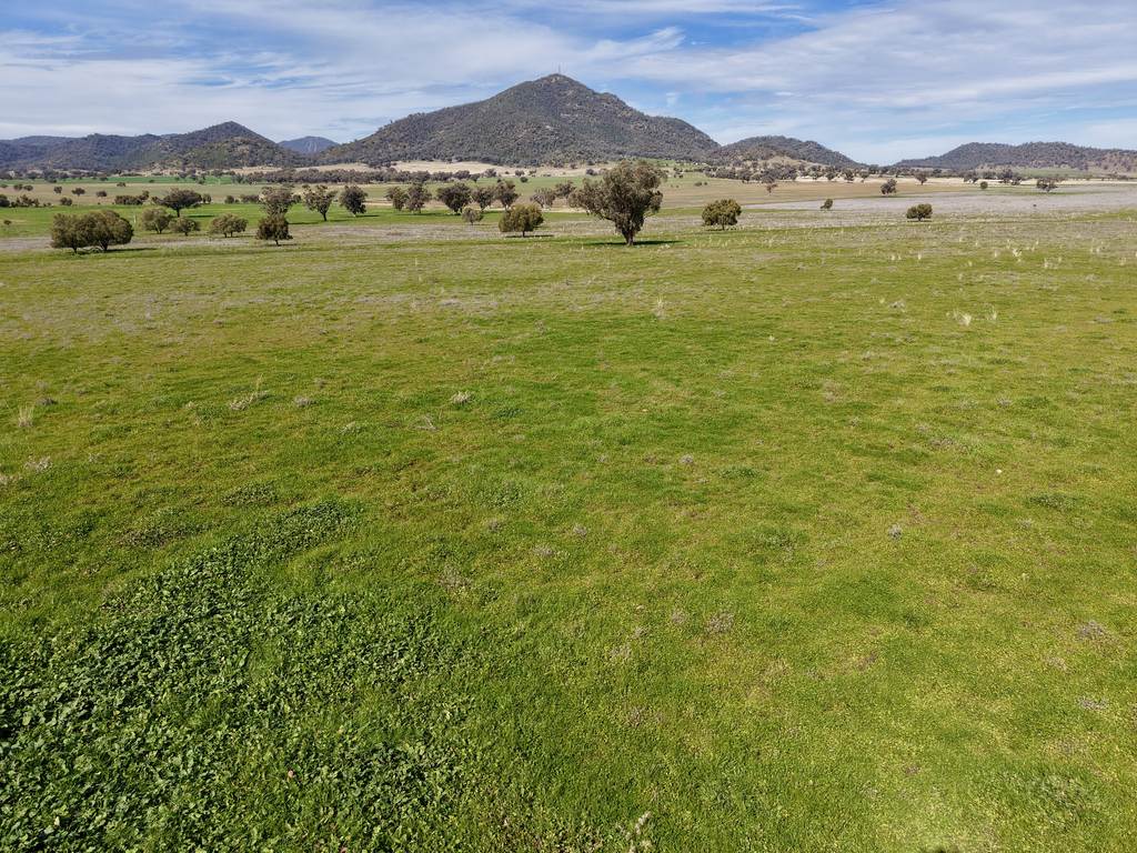 "Part Bompa" 125 Clift Lane, Currabubula NSW 2342