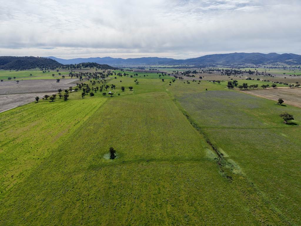 "Part Bompa" 125 Clift Lane, Currabubula NSW 2342