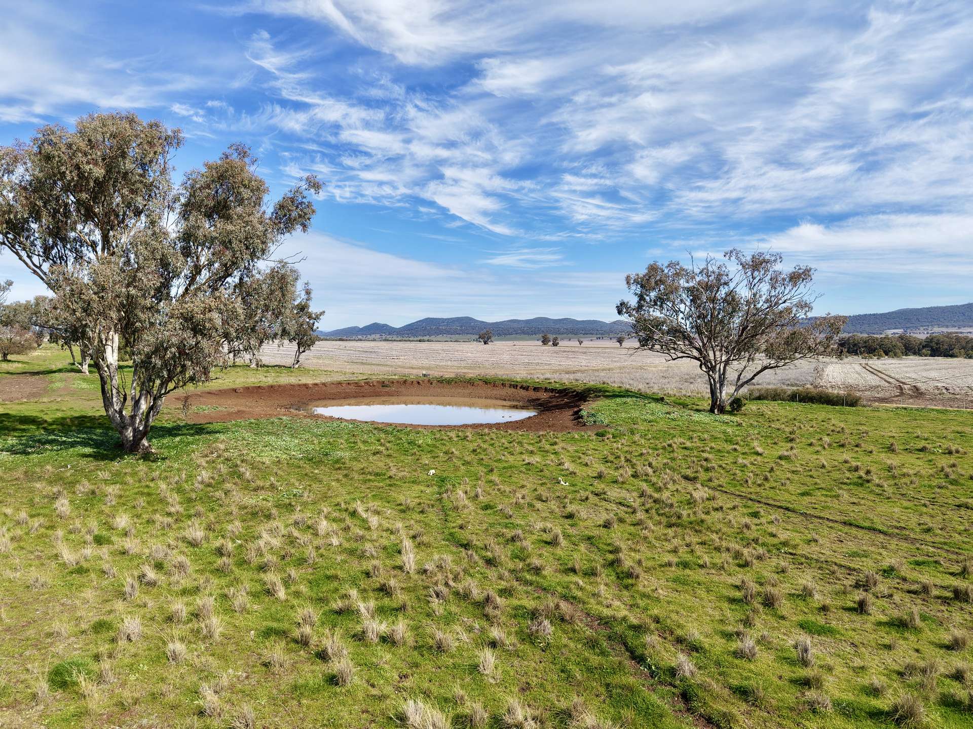 "Part Bompa" 125 Clift Lane, Currabubula Auction by Farmbuy.com - image 4