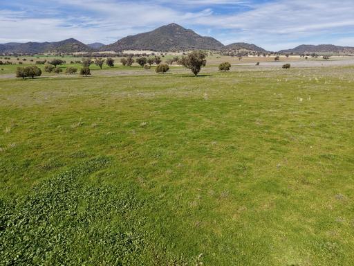 "Part Bompa" 125 Clift Lane, Currabubula NSW 2342