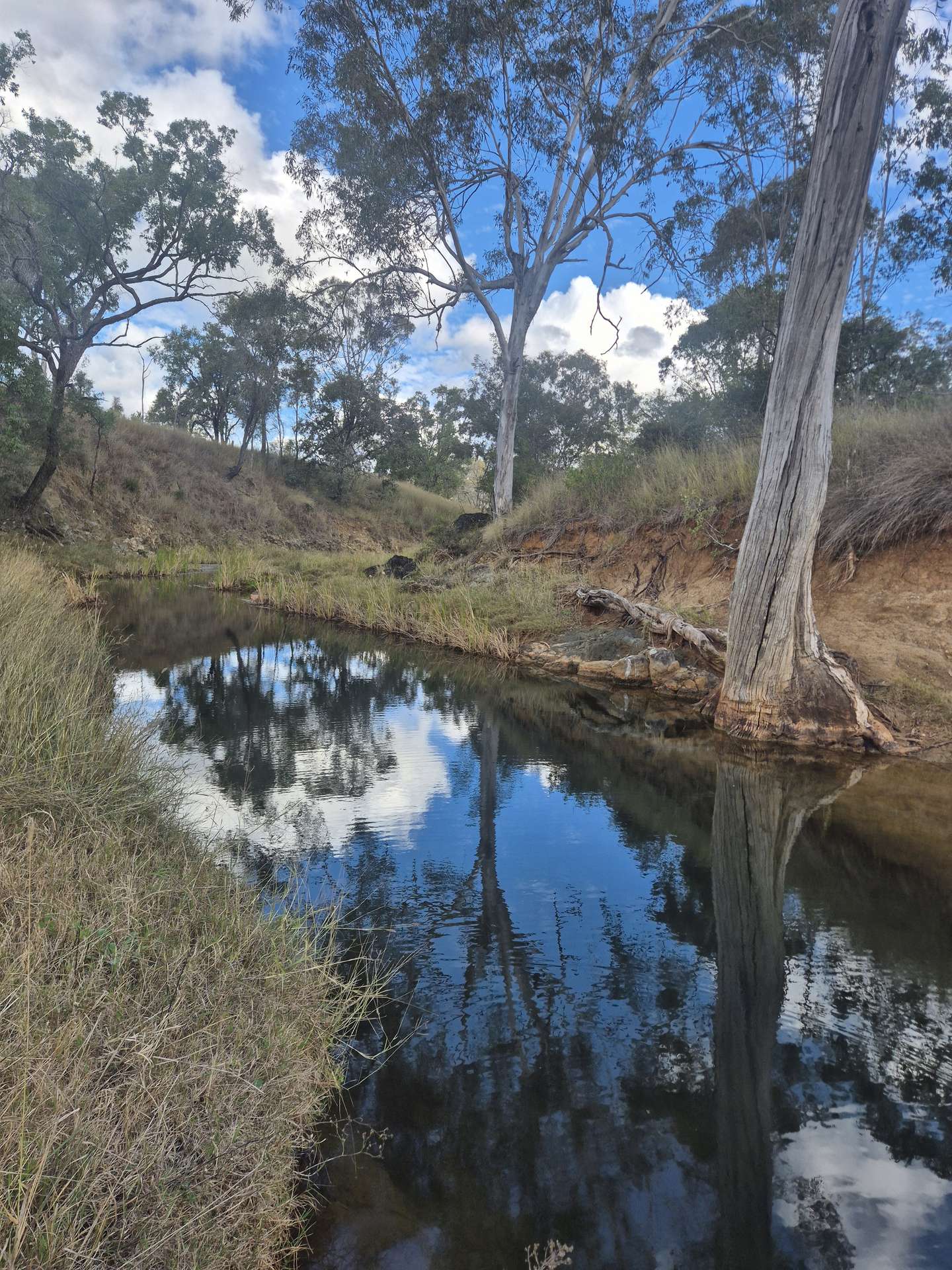 Lot 1 Weir Road, Proston For Sale by Farmbuy.com - image 10