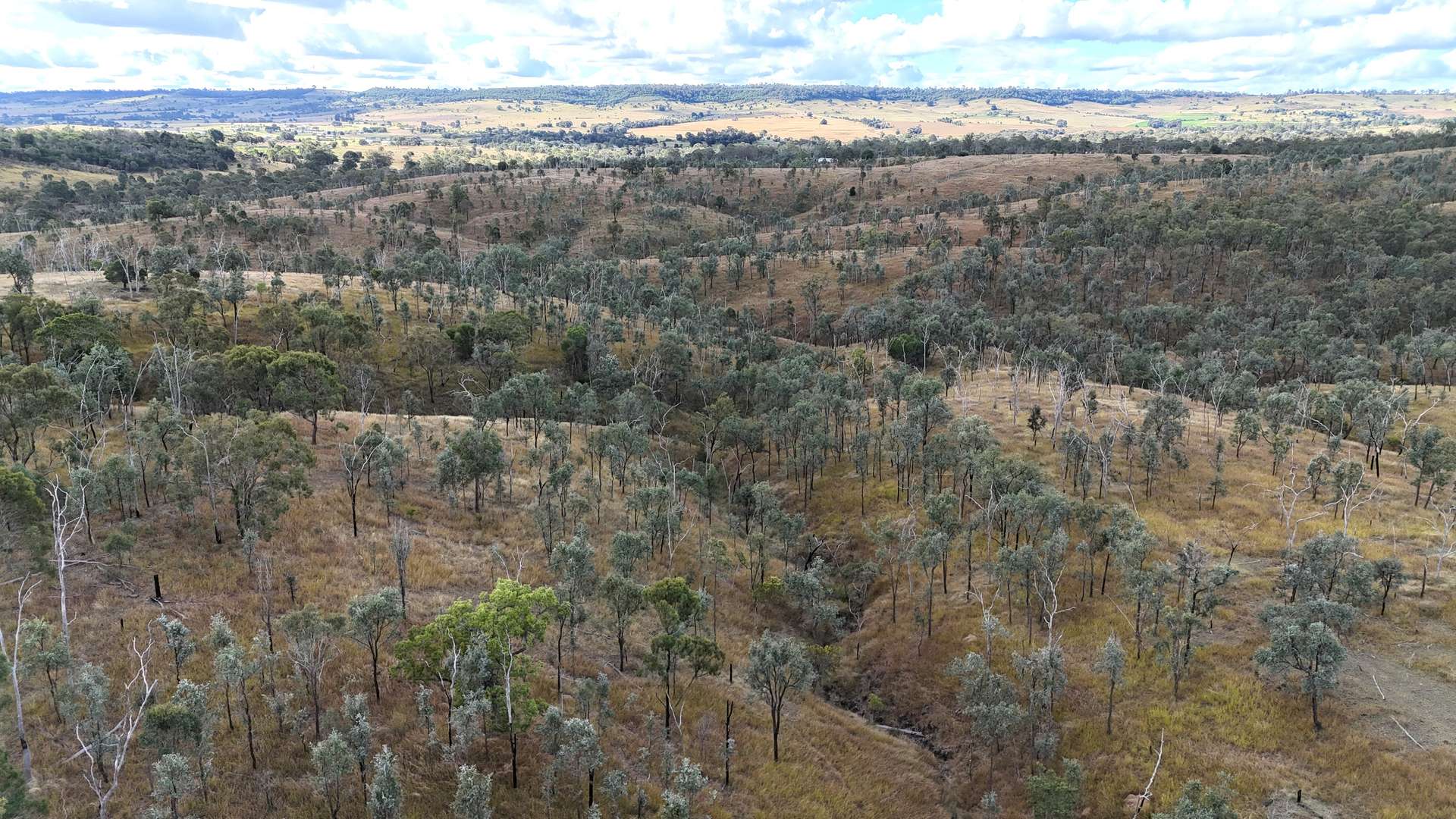 Lot 1 Weir Road, Proston For Sale by Farmbuy.com - image 15