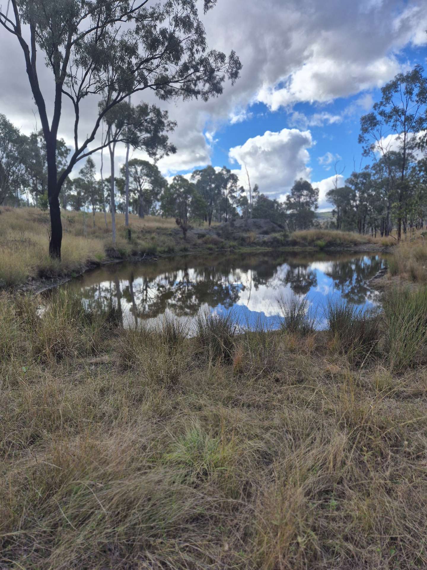 Lot 1 Weir Road, Proston For Sale by Farmbuy.com - image 12