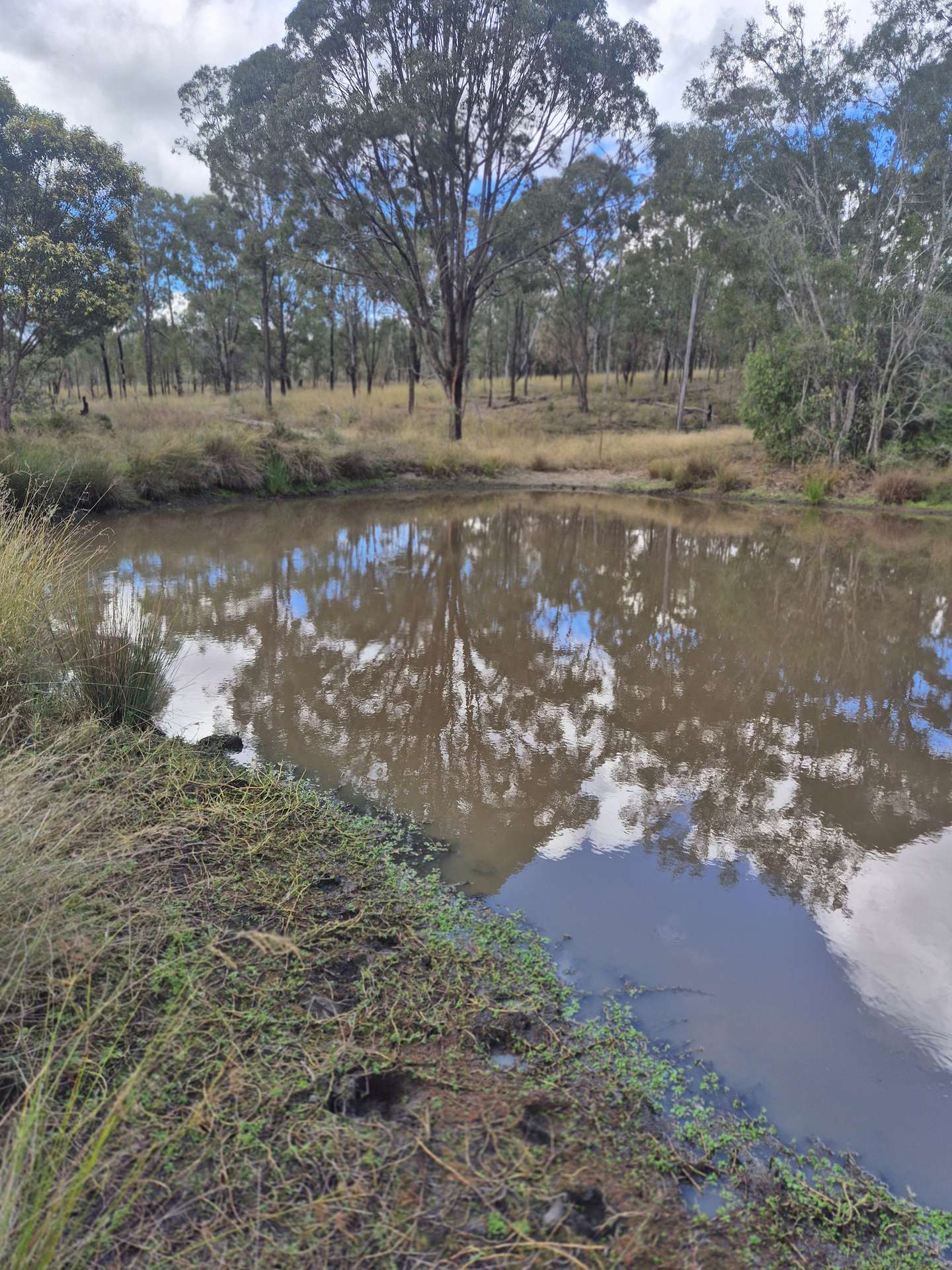 Lot 1 Weir Road, Proston For Sale by Farmbuy.com - image 11