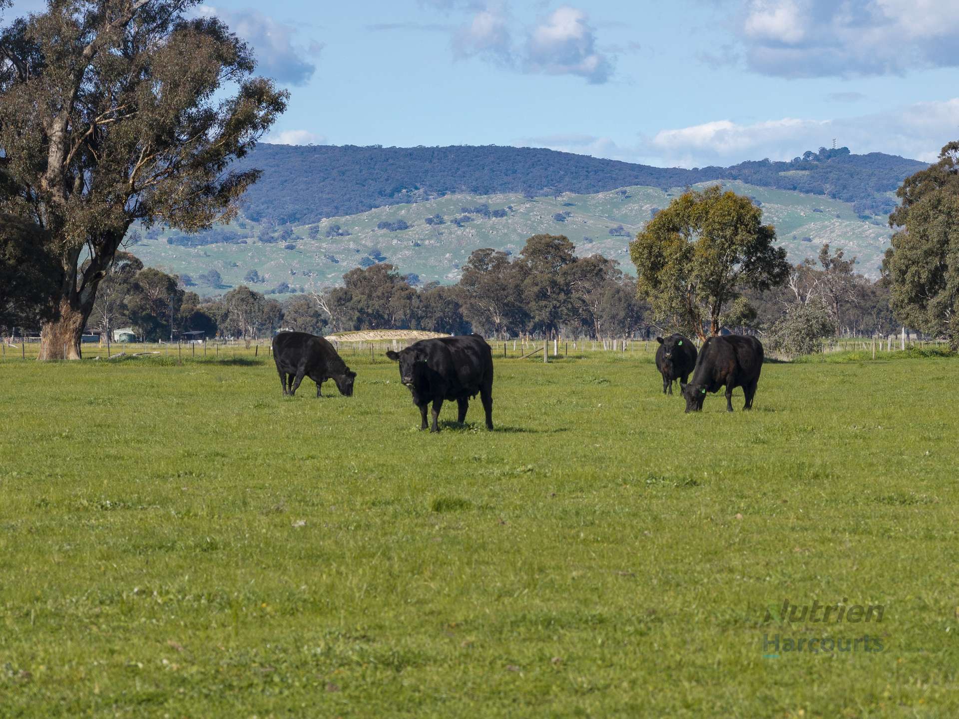 290 Riggs Creek Road, Euroa For Sale by Farmbuy.com - image 34