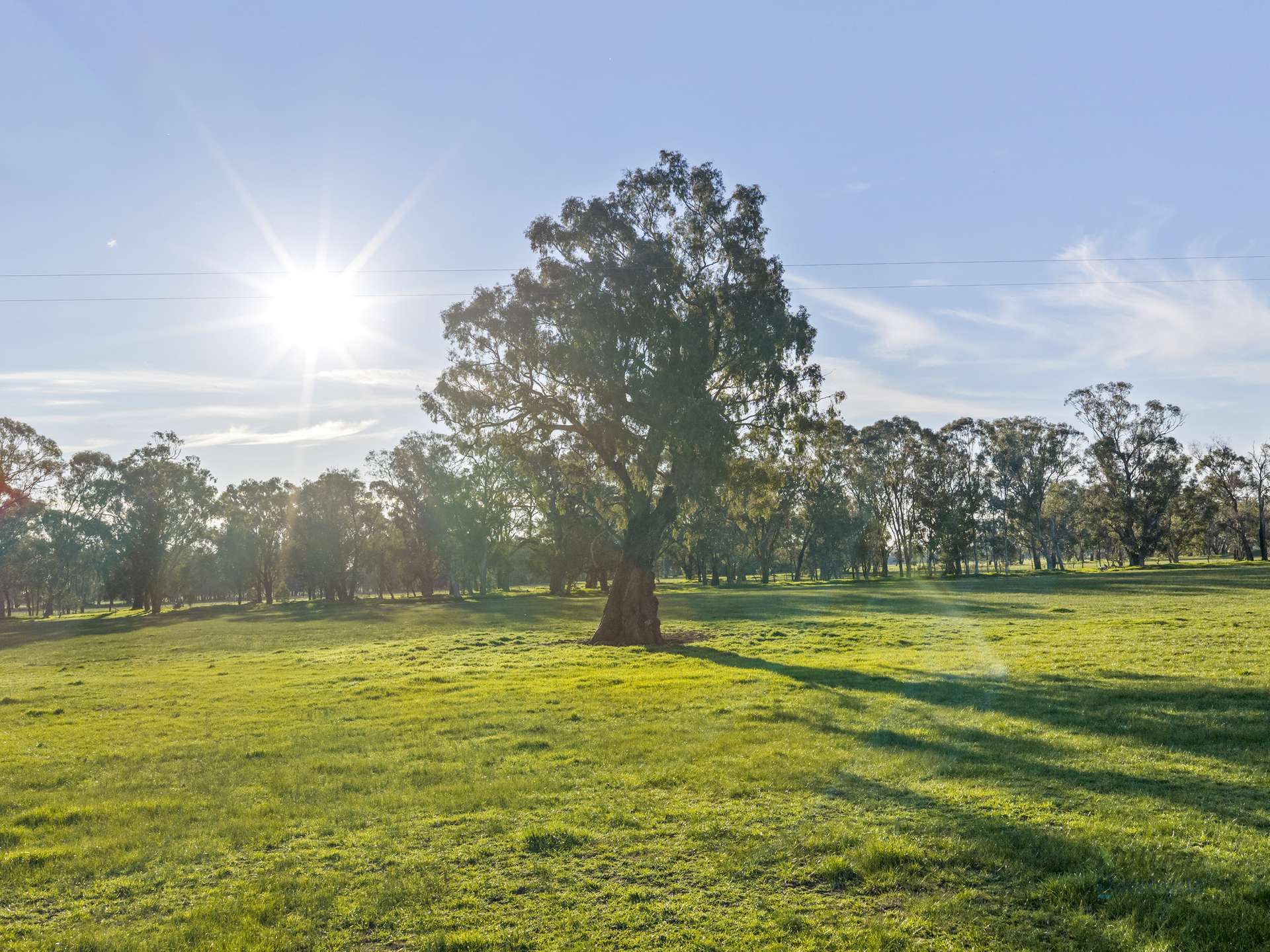 290 Riggs Creek Road, Euroa For Sale by Farmbuy.com - image 33
