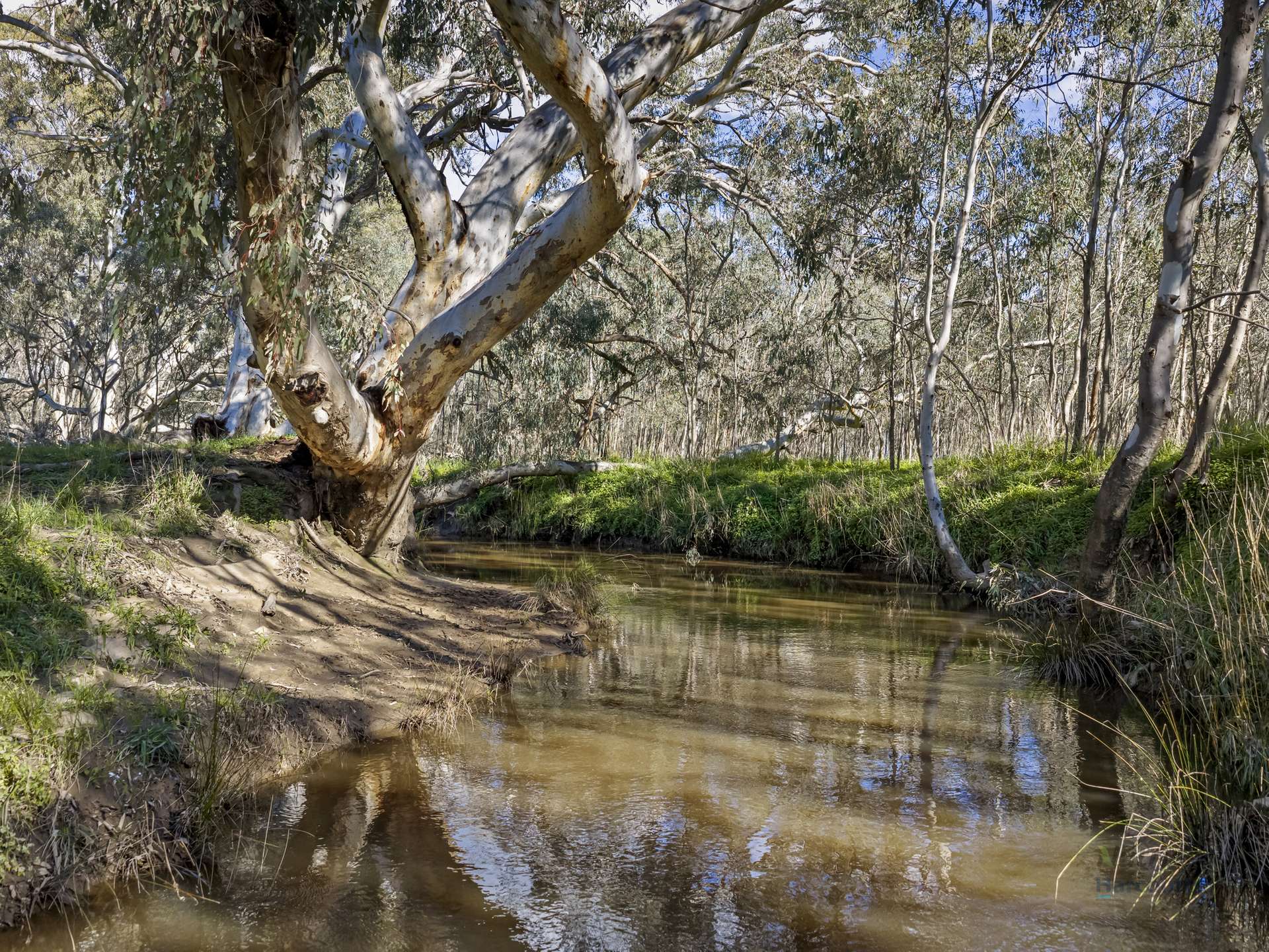 290 Riggs Creek Road, Euroa For Sale by Farmbuy.com - image 19