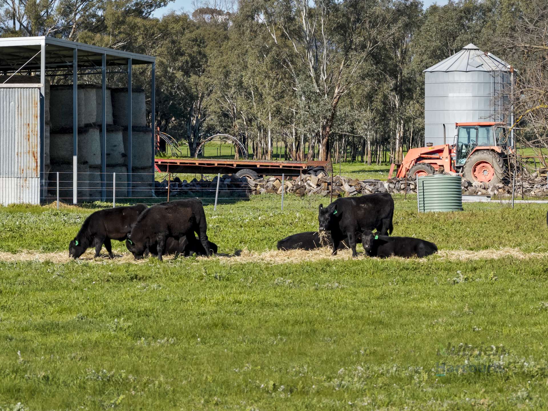 290 Riggs Creek Road, Euroa For Sale by Farmbuy.com - image 23