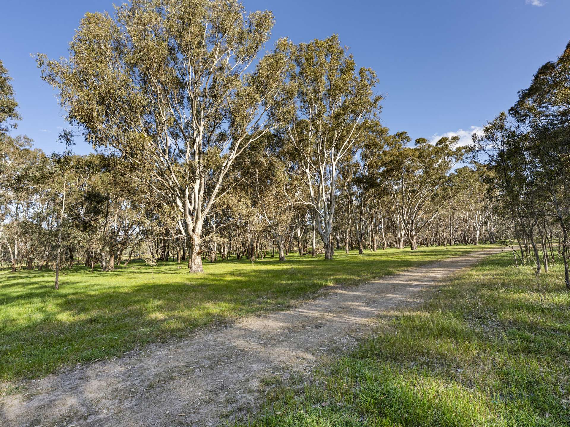 290 Riggs Creek Road, Euroa For Sale by Farmbuy.com - image 29