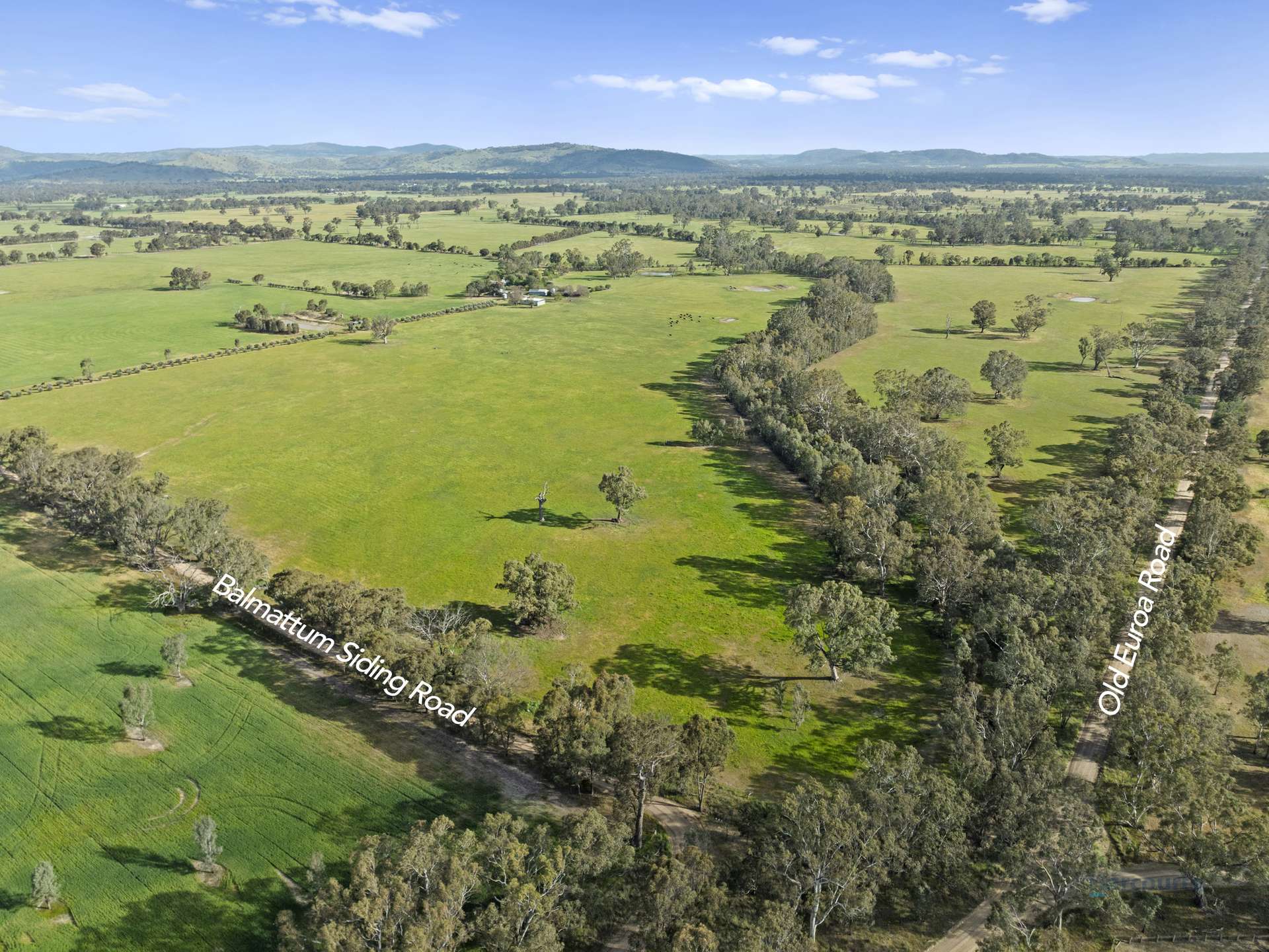 290 Riggs Creek Road, Euroa For Sale by Farmbuy.com - image 21