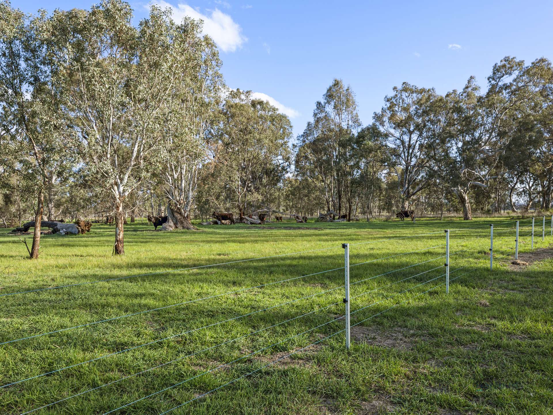 290 Riggs Creek Road, Euroa For Sale by Farmbuy.com - image 20