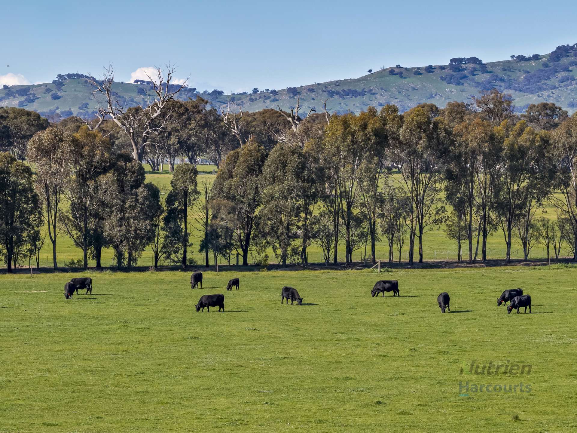 290 Riggs Creek Road, Euroa For Sale by Farmbuy.com - image 15