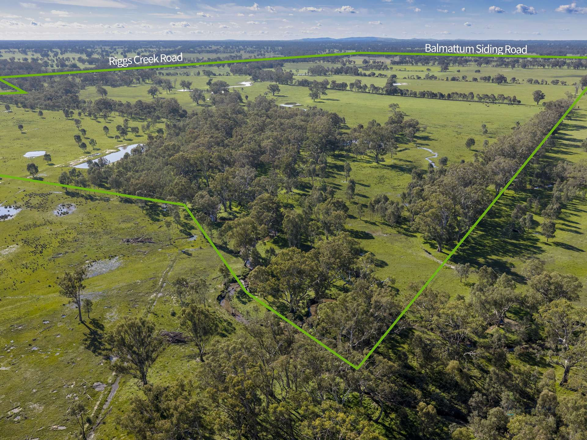 290 Riggs Creek Road, Euroa For Sale by Farmbuy.com - image 3