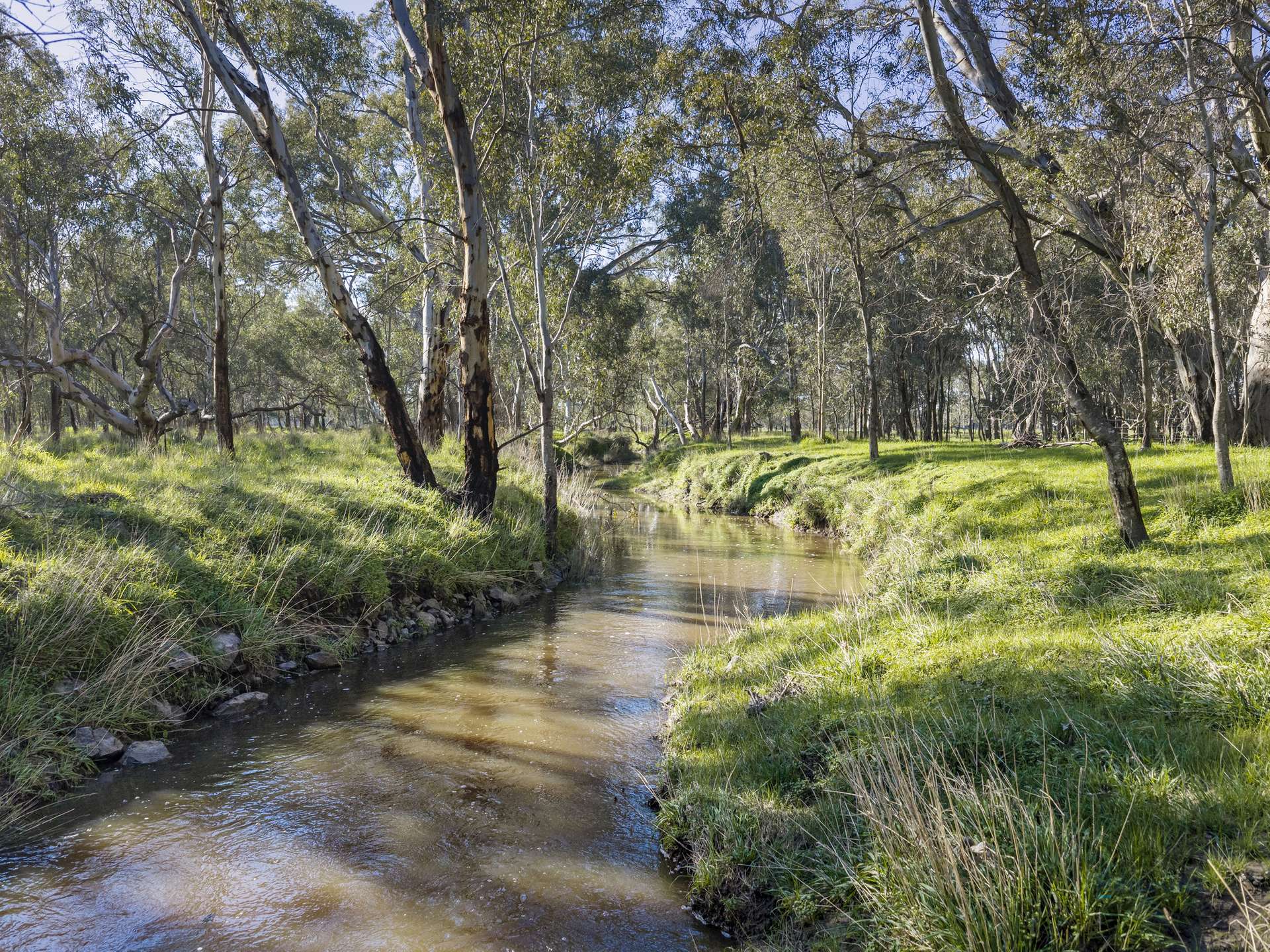 290 Riggs Creek Road, Euroa For Sale by Farmbuy.com - image 6