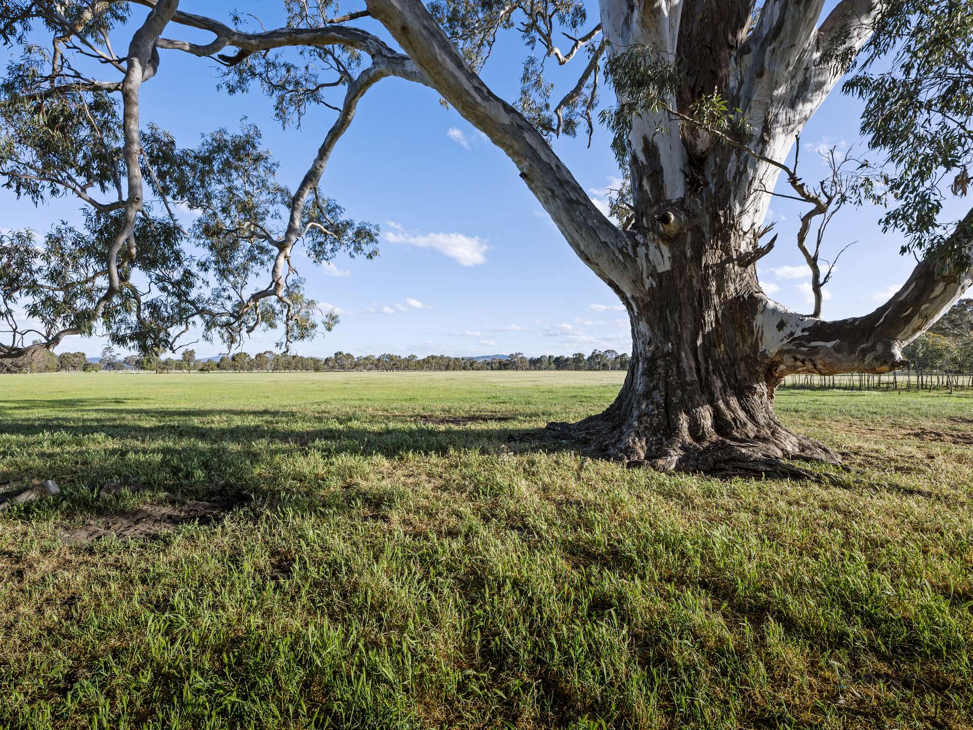290 Riggs Creek Road, Euroa For Sale by Farmbuy.com - image 22