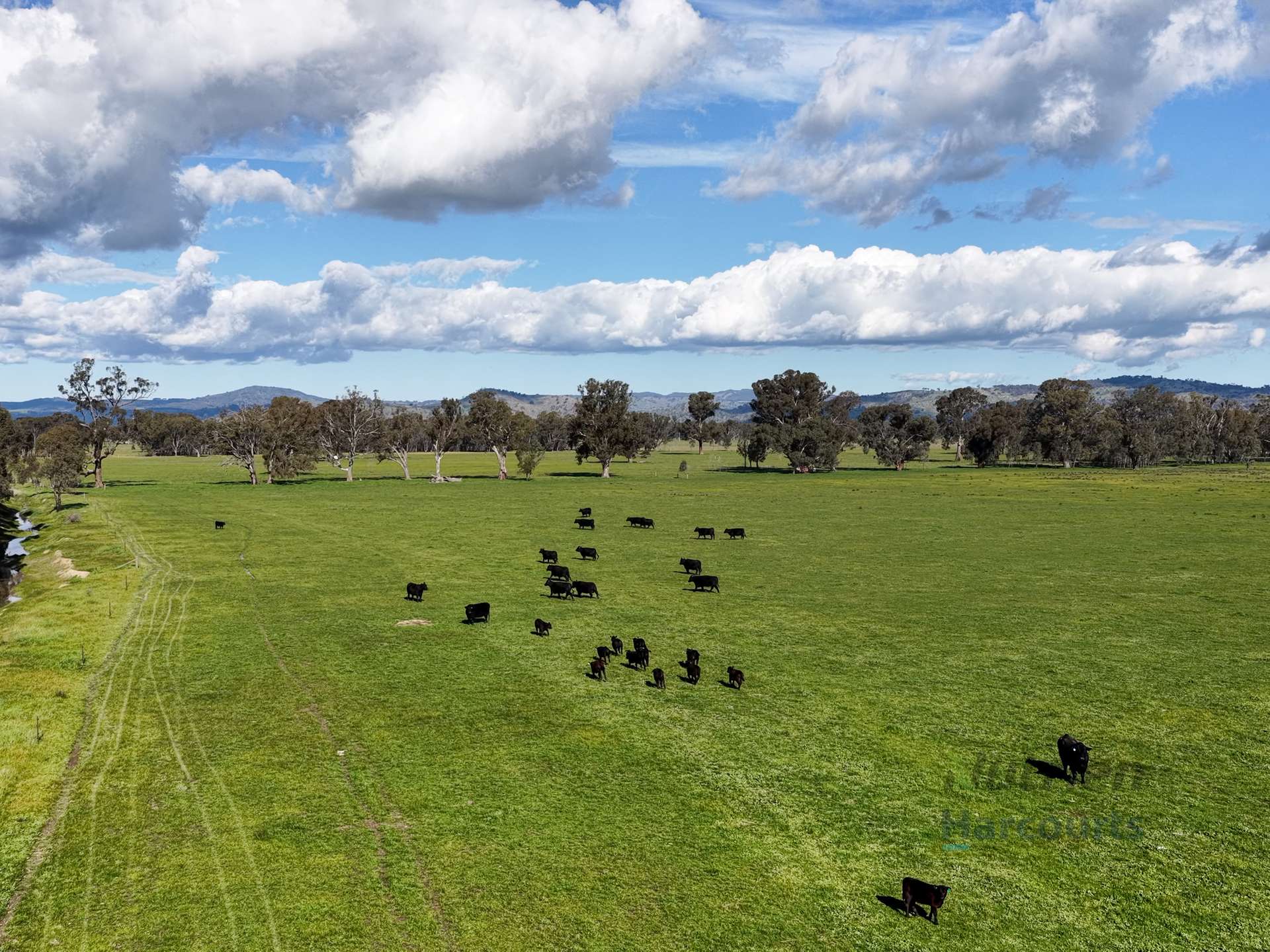 290 Riggs Creek Road, Euroa For Sale by Farmbuy.com - image 12