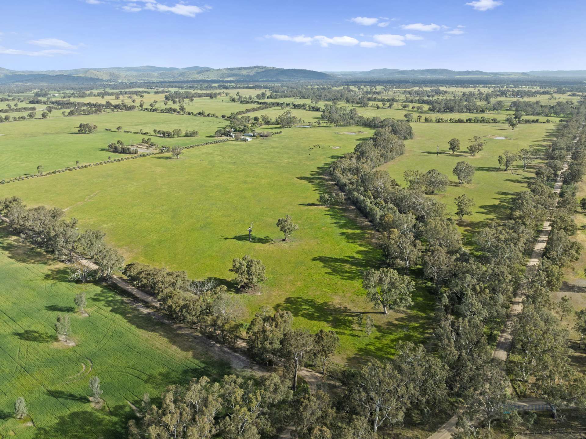 290 Riggs Creek Road, Euroa For Sale by Farmbuy.com - image 11
