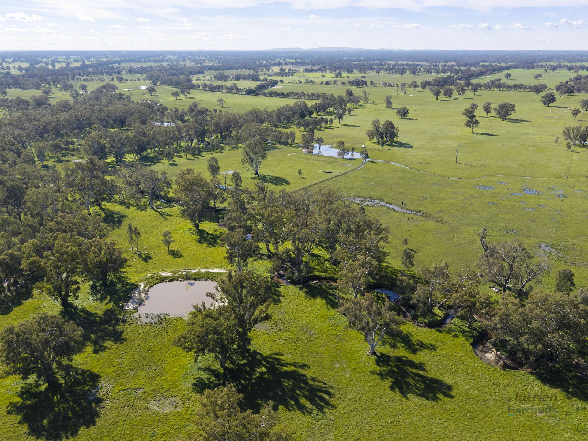 290 Riggs Creek Road, Euroa For Sale by Farmbuy.com - image 4