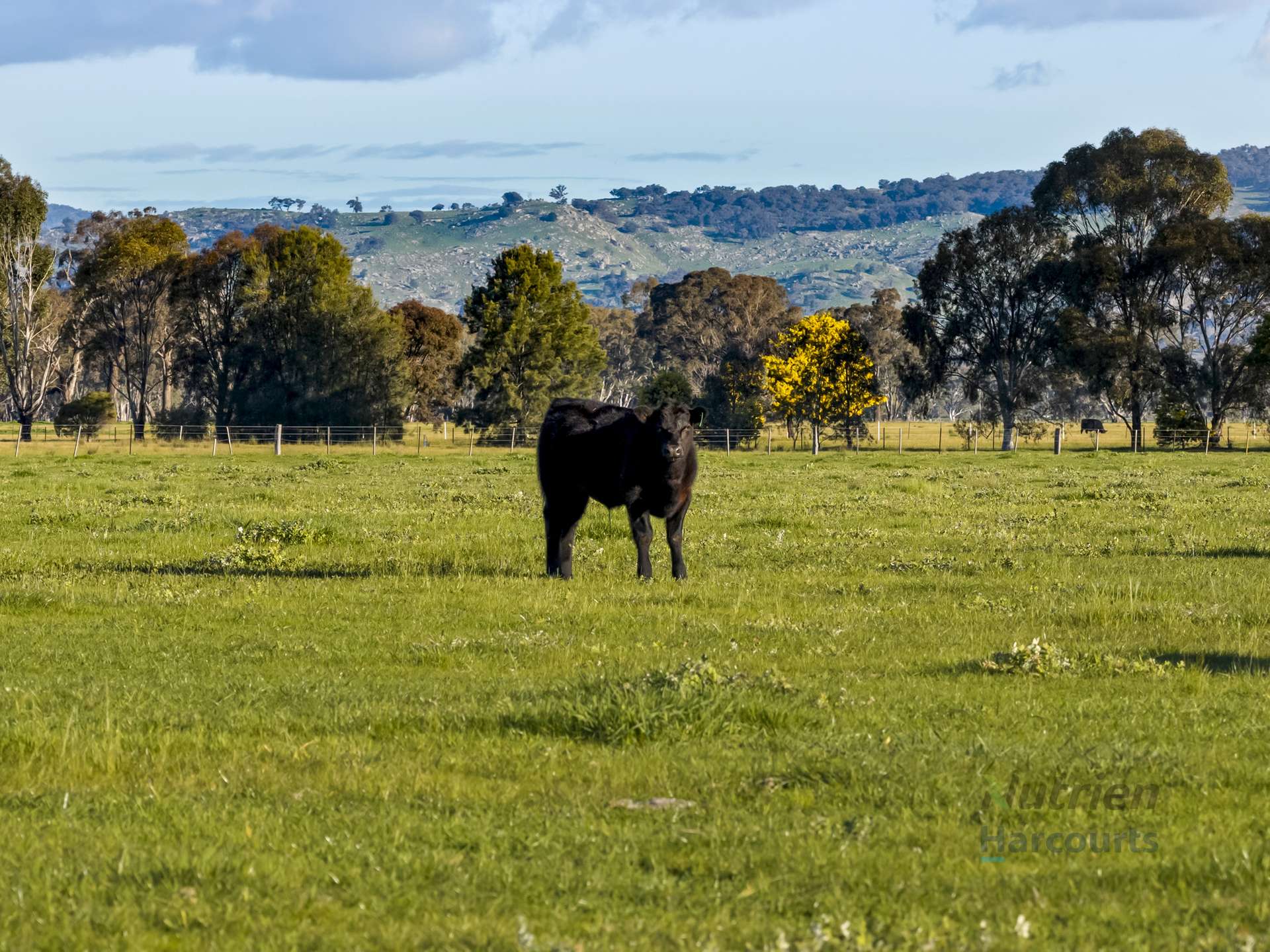 290 Riggs Creek Road, Euroa For Sale by Farmbuy.com - image 24