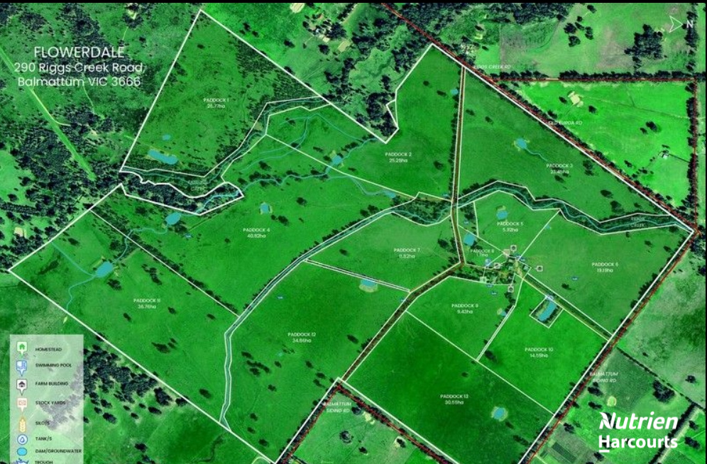 290 Riggs Creek Road, Euroa For Sale by Farmbuy.com - image 2