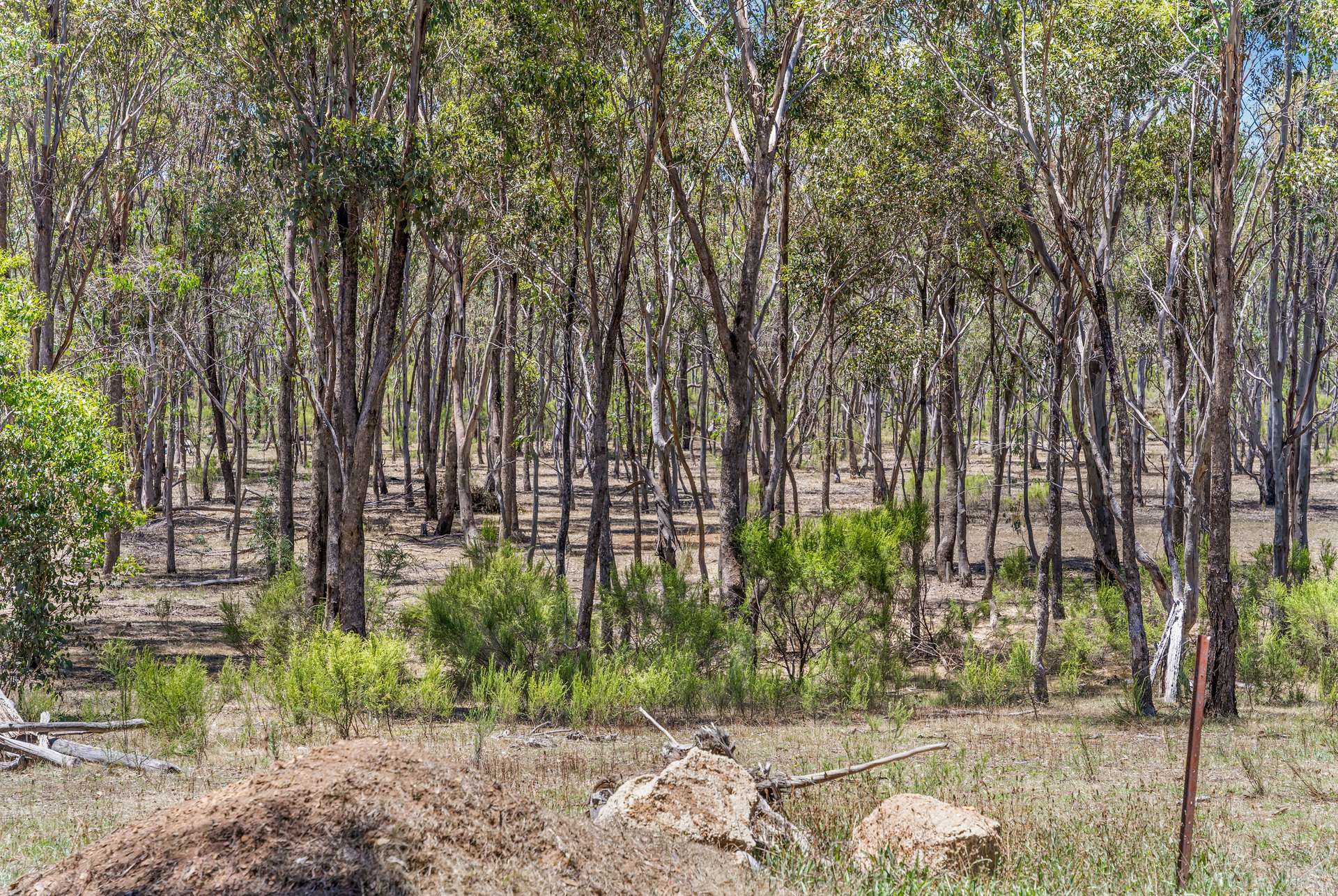 Lot 1,  Wilson Road, Heathcote Sold by Farmbuy.com - image 2
