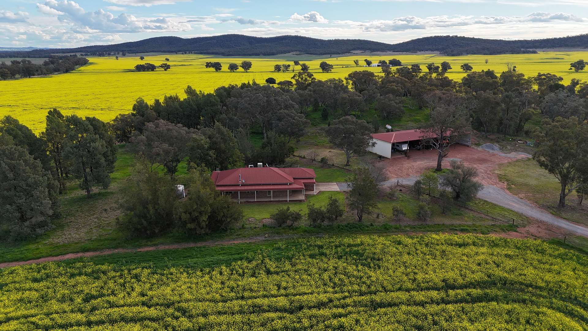935 Nangar Road, Canowindra Auction by Farmbuy.com - image 9