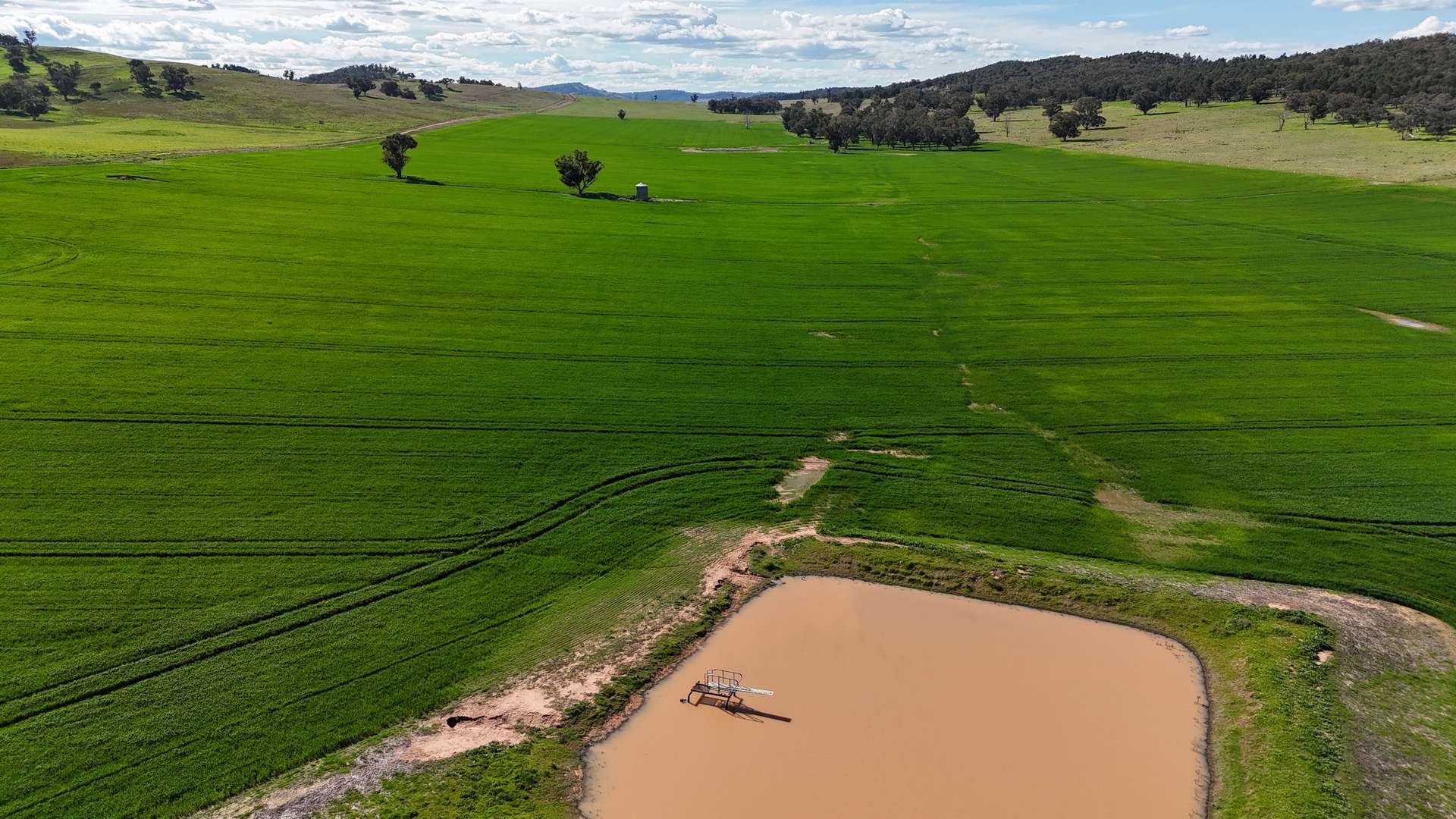 935 Nangar Road, Canowindra Auction by Farmbuy.com - image 26