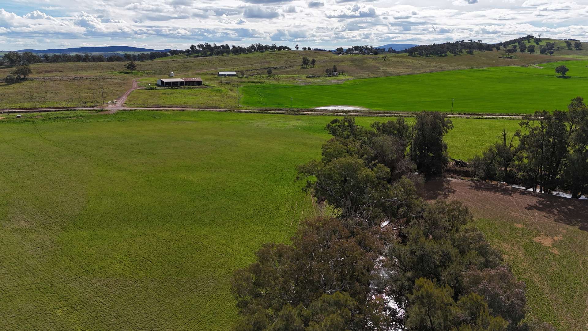 935 Nangar Road, Canowindra Auction by Farmbuy.com - image 29