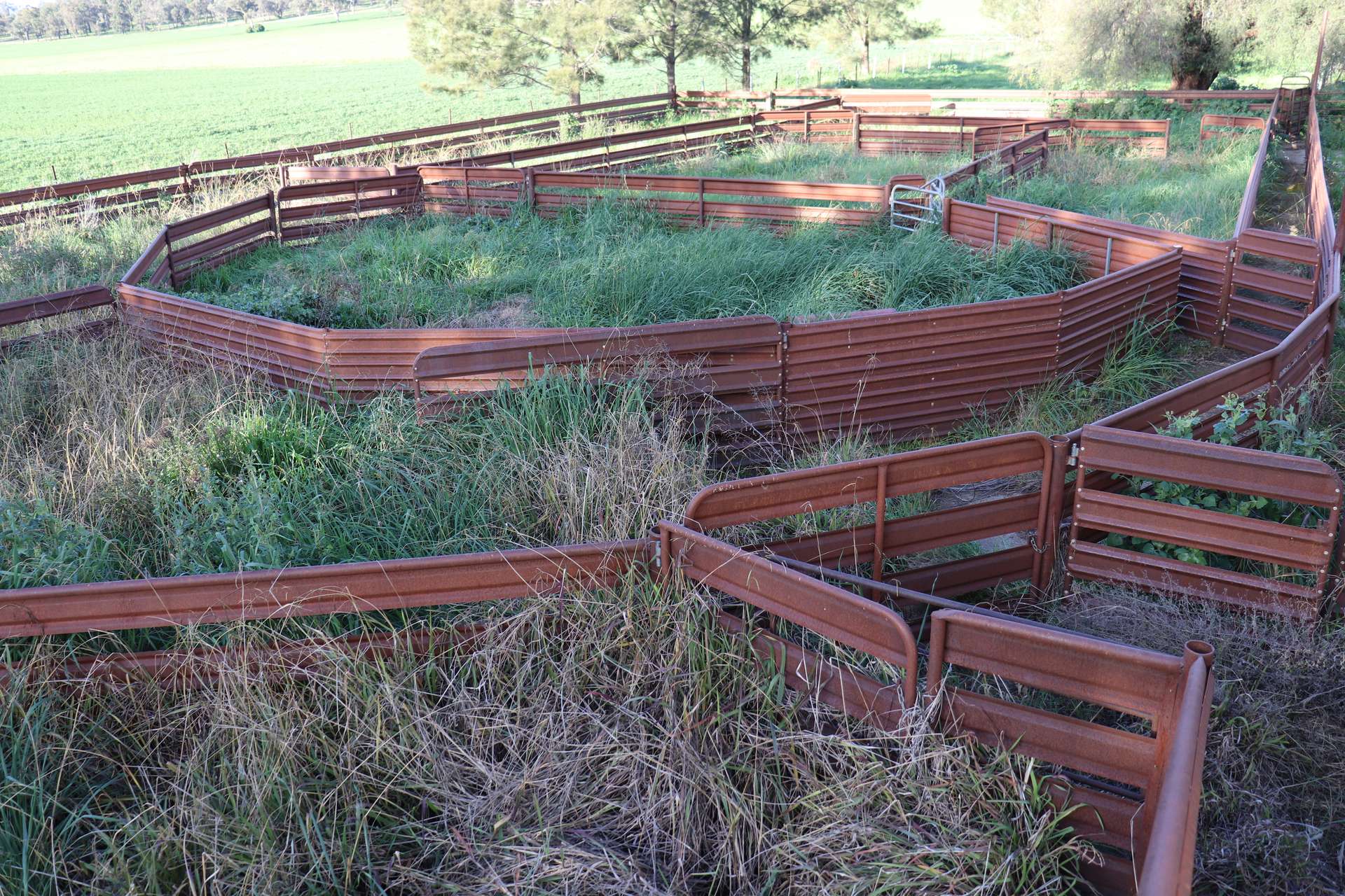935 Nangar Road, Canowindra Auction by Farmbuy.com - image 13