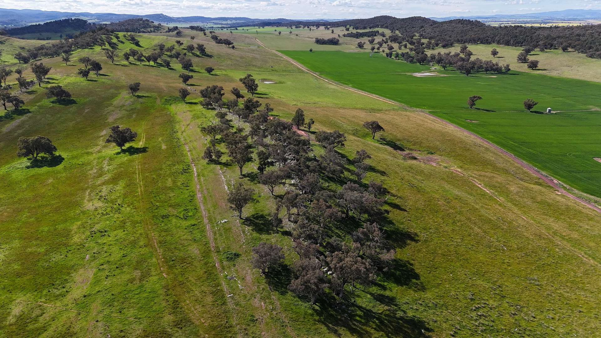 935 Nangar Road, Canowindra Auction by Farmbuy.com - image 20