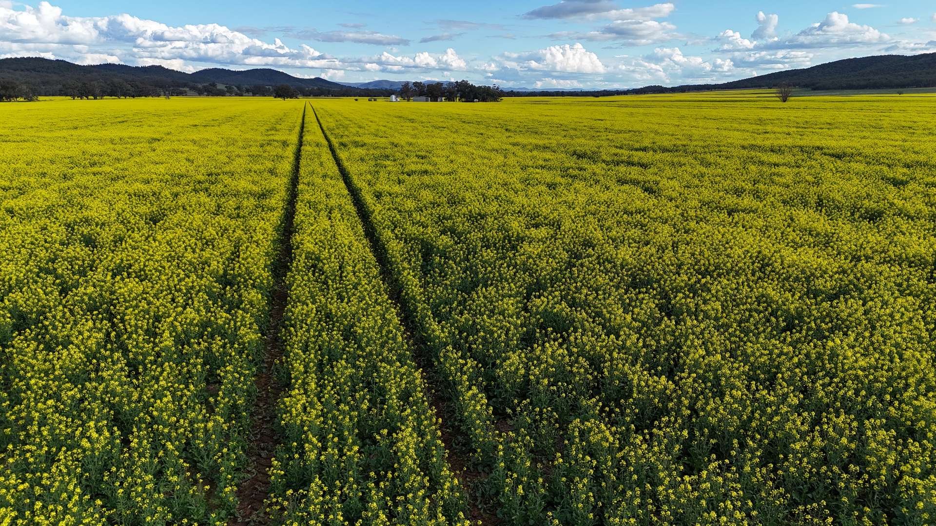 935 Nangar Road, Canowindra Auction by Farmbuy.com - image 16