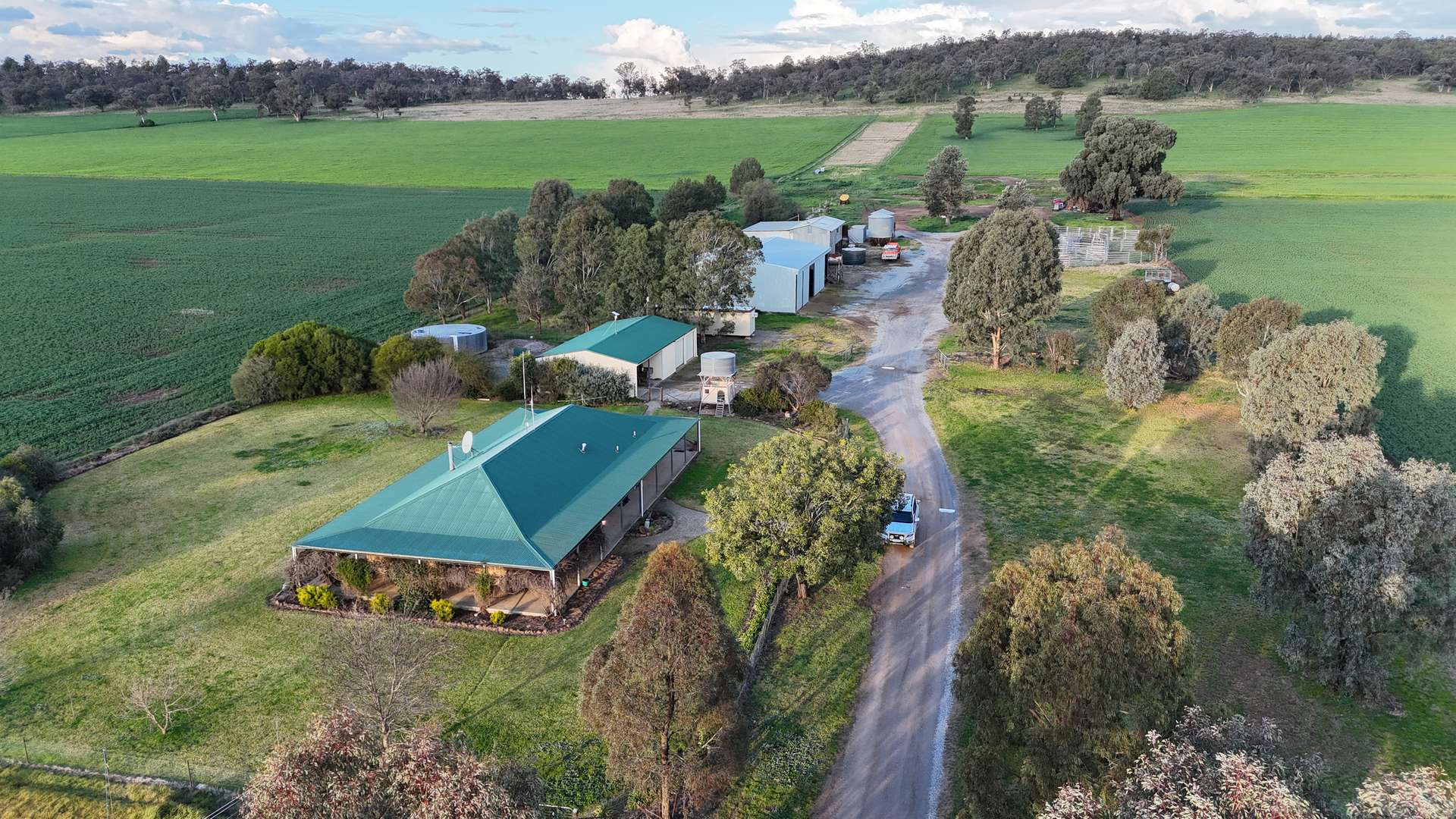 935 Nangar Road, Canowindra Auction by Farmbuy.com - image 5