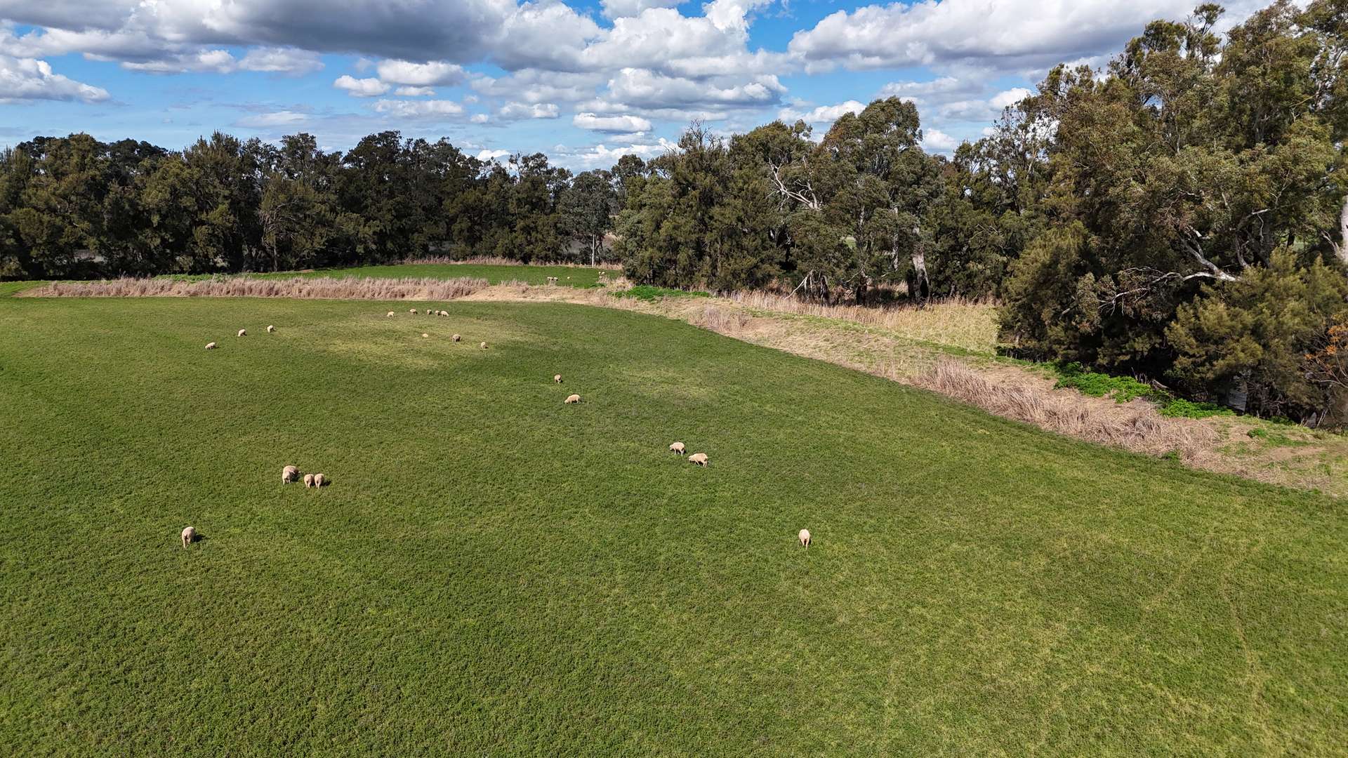 935 Nangar Road, Canowindra Auction by Farmbuy.com - image 14