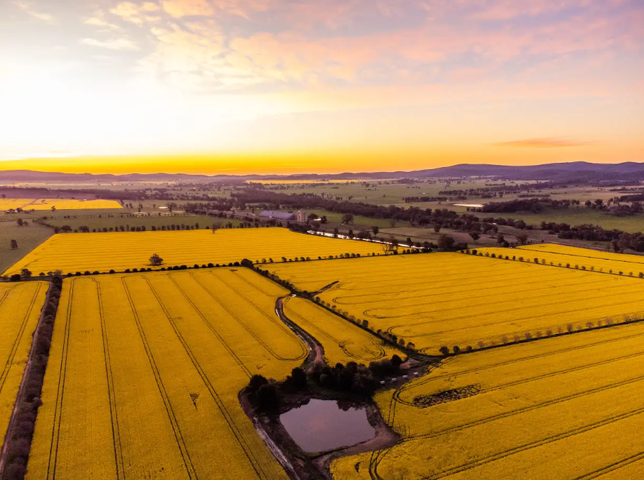 935 Nangar Road, Canowindra Auction by Farmbuy.com - image 17