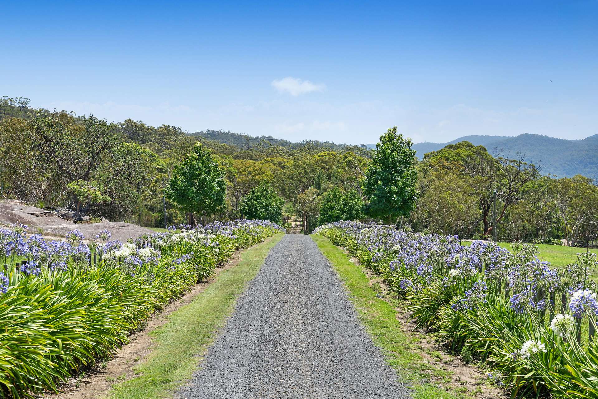 101 Pacific Highway, Mount White For Sale by Farmbuy.com - image 3