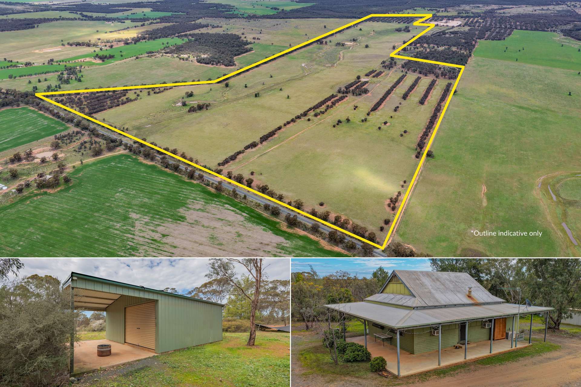 388 Tallimba Road, West Wyalong For Sale by Farmbuy.com - image 14
