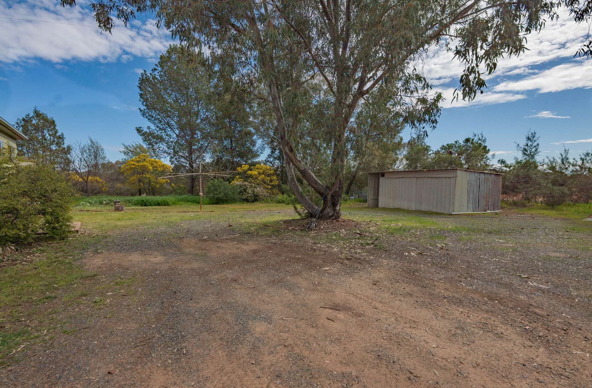388 Tallimba Road, West Wyalong For Sale by Farmbuy.com - image 11