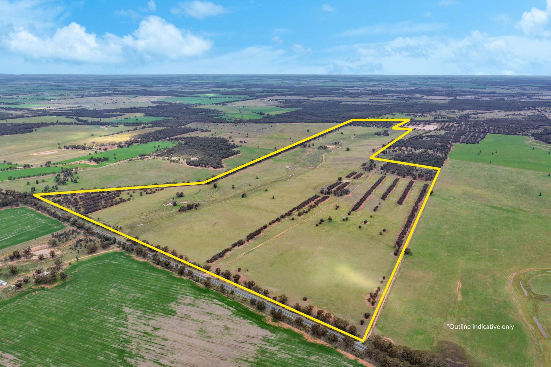 388 Tallimba Road, West Wyalong For Sale by Farmbuy.com - image 1