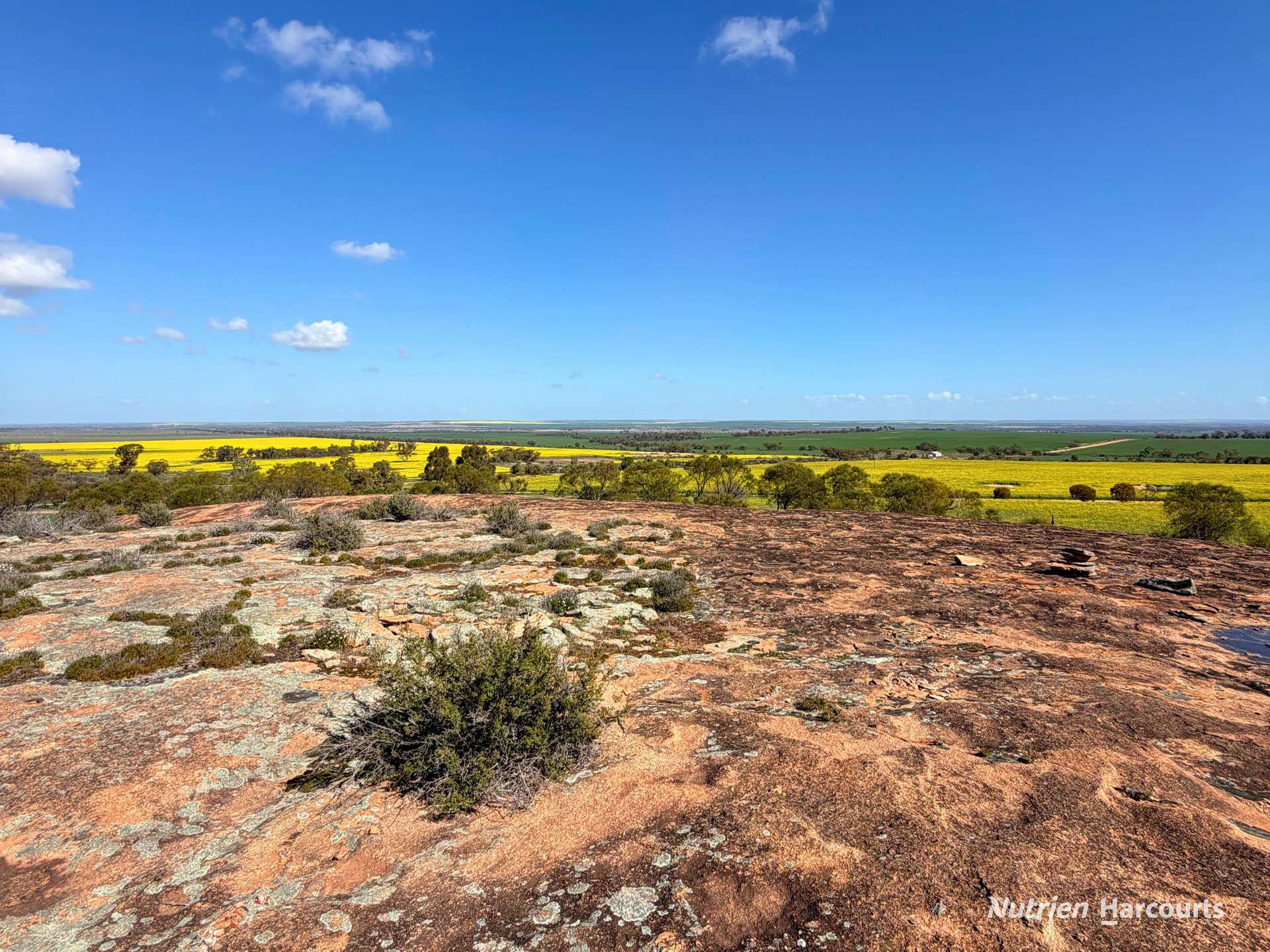 1320 Nukarni West Road, Elabbin For Sale by Farmbuy.com - image 26