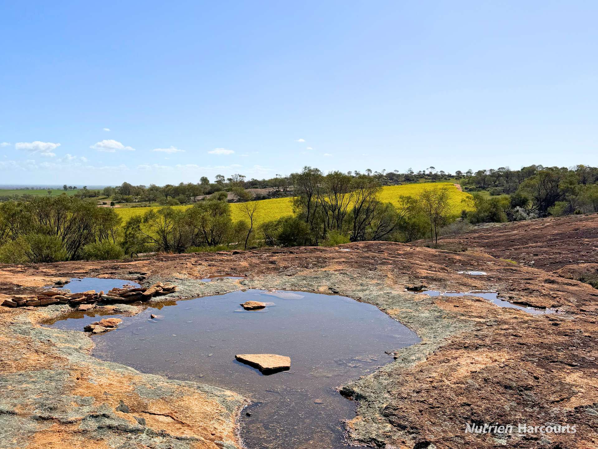 1320 Nukarni West Road, Elabbin For Sale by Farmbuy.com - image 11