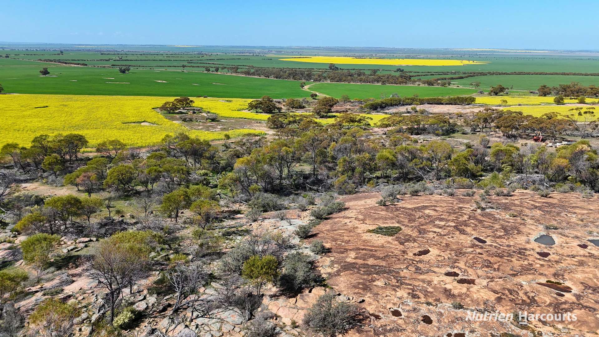 1320 Nukarni West Road, Elabbin For Sale by Farmbuy.com - image 14