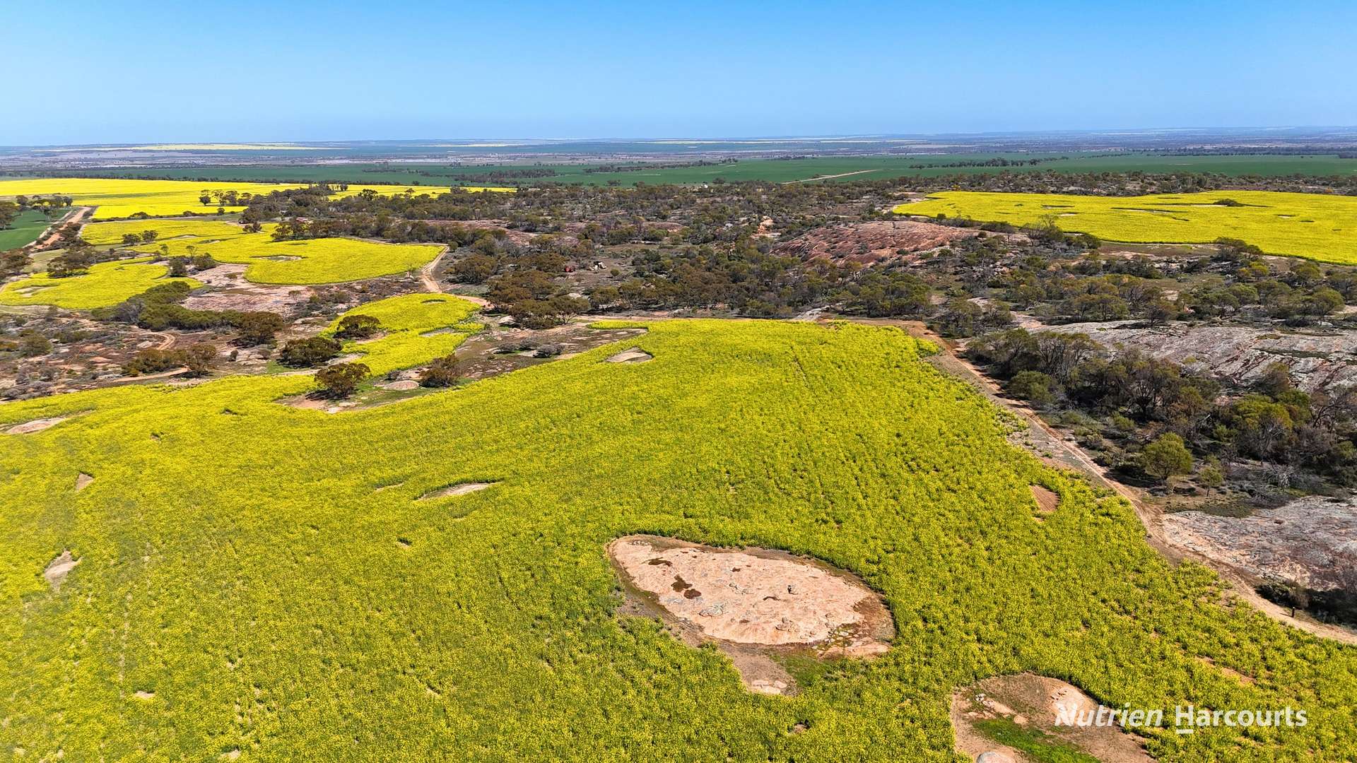 1320 Nukarni West Road, Elabbin For Sale by Farmbuy.com - image 7